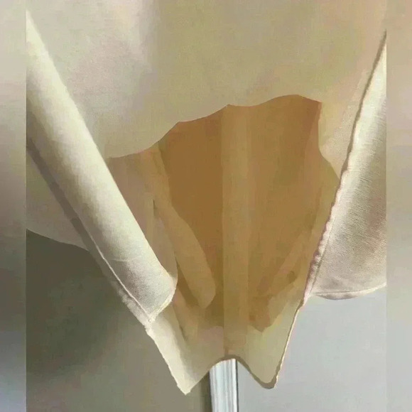 ASTR the label pop over blouse long line beige long sleeves lined Large. NWT - Picture 3 of 7